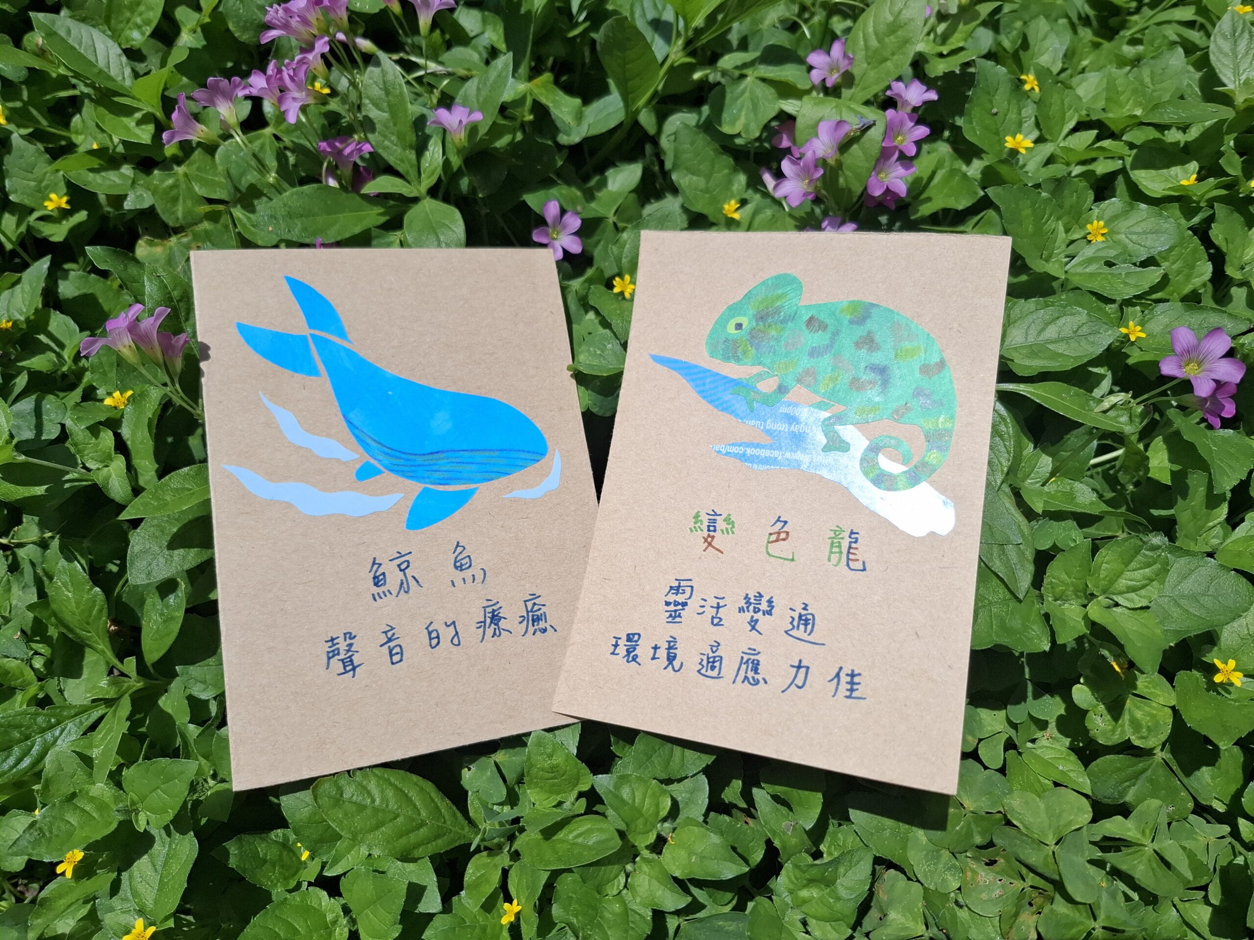 工作坊宣傳照片-變色龍 鯨魚