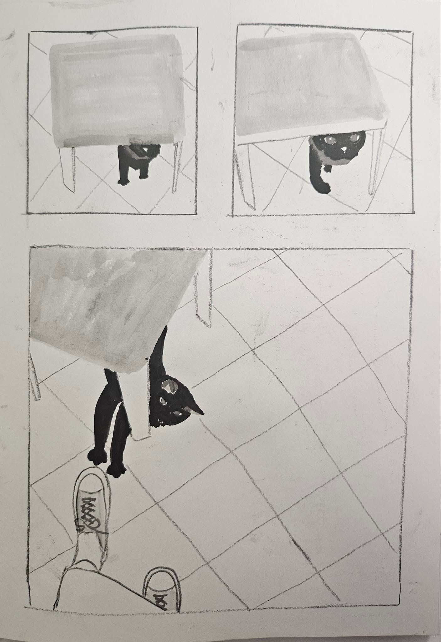 495218607_9456492831140124_3141553292492426172_n